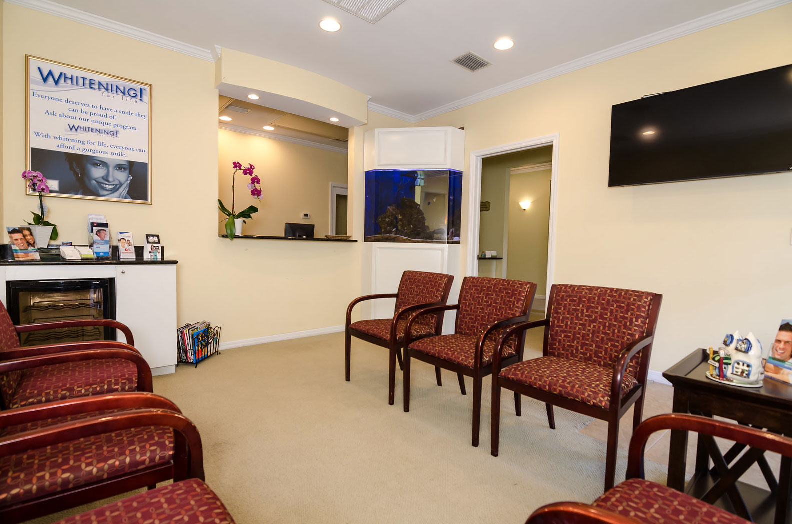 Dentist-in-Clearwater-1